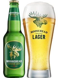 kanadisches Bier Moosehead Lager in der 0,35 l Bierflasche mit vollem Bierglas