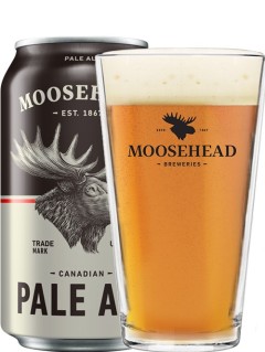 kanadisches Bier Moosehead Pale Ale in der 0,35 l Bierdose mit vollem Bierglas